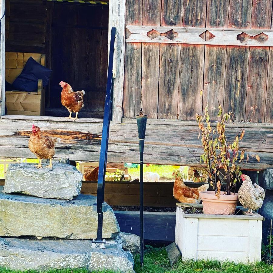 Hesla Farm Daire Gol Dış mekan fotoğraf