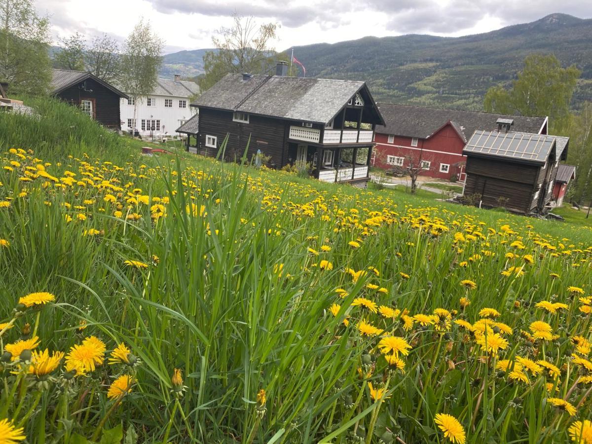 Hesla Farm Daire Gol Dış mekan fotoğraf